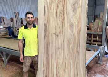 camphor-laurel-kiln-dried-timber-slabs-and-burls-005