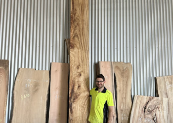 camphor-laurel-kiln-dried-timber-slabs-and-burls-008