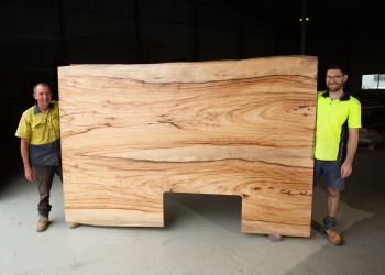 camphor-laurel-timber-kitchen-vanity-benchtops-015