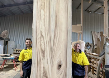 Timber-Slab-160