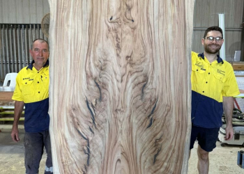 Timber-Slab-190