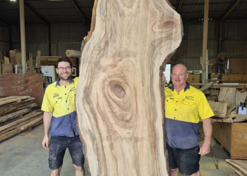 Timber-Slab-270