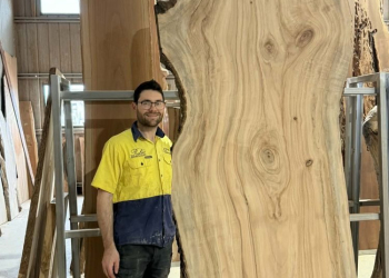 Timber-Slab-280