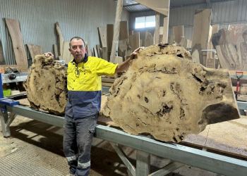Timber-Slab-300