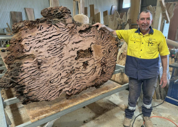 Timber-Slab-310