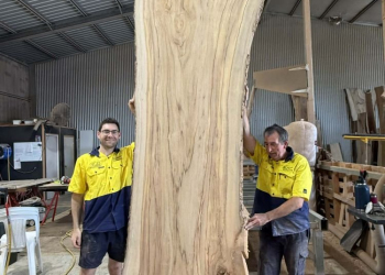 Timber-Slab-320