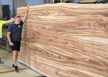 Timber-Slab-Warehouse-Big-Slab