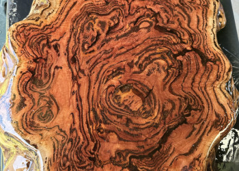 kiln-dried-timber-slabs-and-burls-004