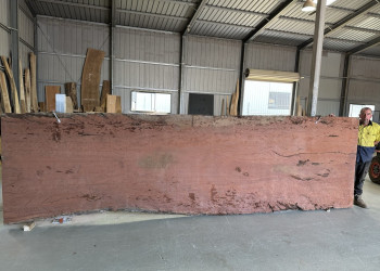 kiln-dried-timber-slabs-and-burls-006