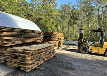 kiln-dried-timber-slabs-and-burls-010