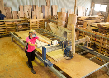 kiln-dried-timber-slabs-and-burls-015