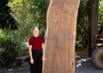 spotted-gum-Fabslabs_slab_funiture_5.21_018