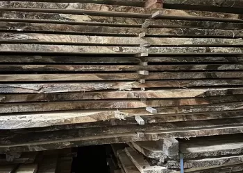 Camphor-Laurel-Wholesale-Slabs-01
