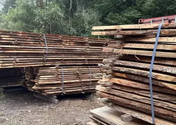 Camphor-Laurel-Wholesale-Slabs-02