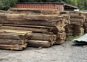 Camphor-Laurel-Wholesale-Slabs-04