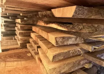 Camphor-Laurel-Wholesale-Slabs-05